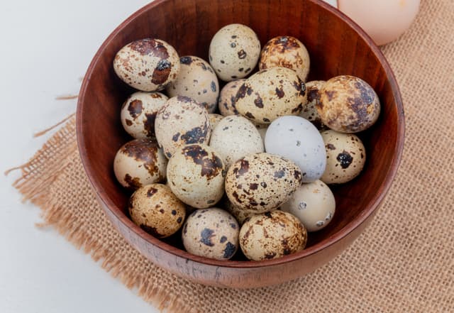 Ovos de Codorna